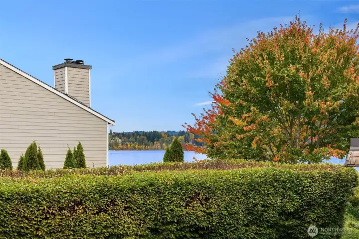 Peaceful water views from the front deck