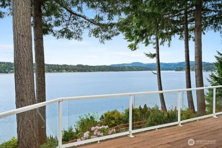 Watch the orcas pass by this Summer!