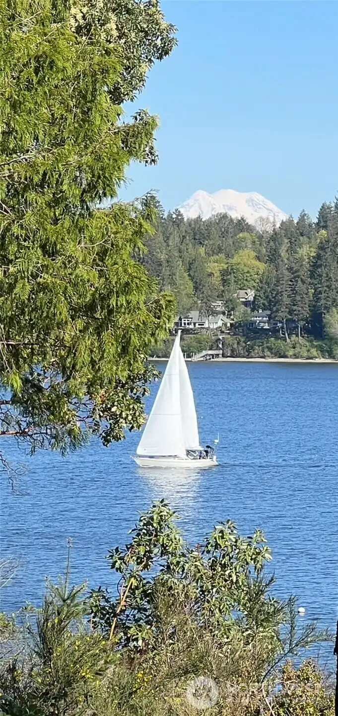 Enjoy watching a variety of maritime activities