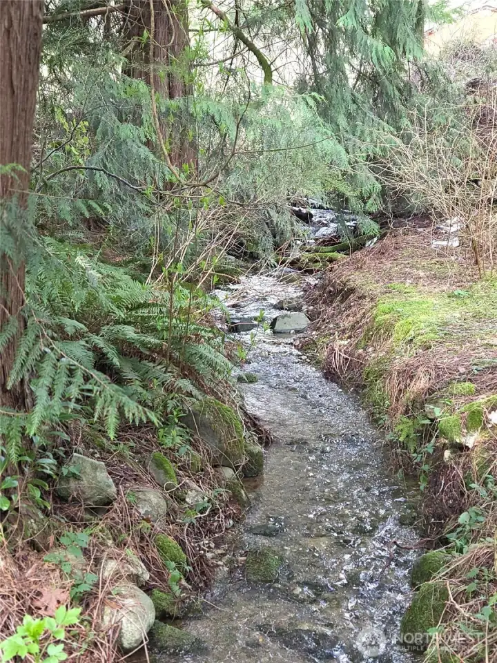 Seasonal Creek right behind the house