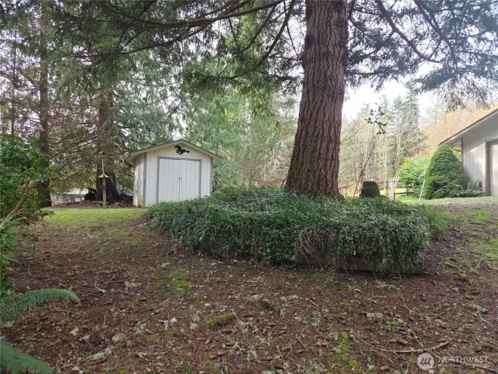 View of shed from the path