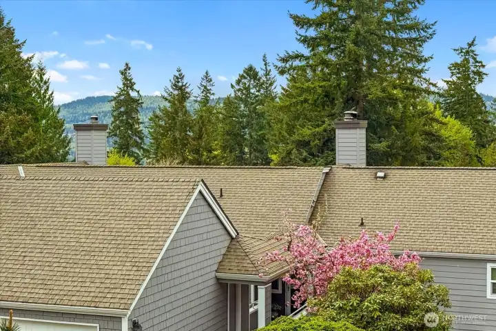 View from living room windows