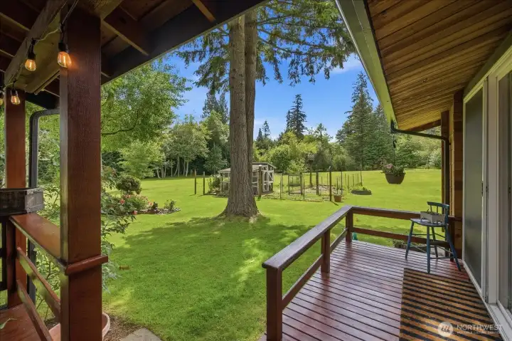 An absolute oasis An absolute oasis