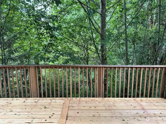 Deck overlooking the woods