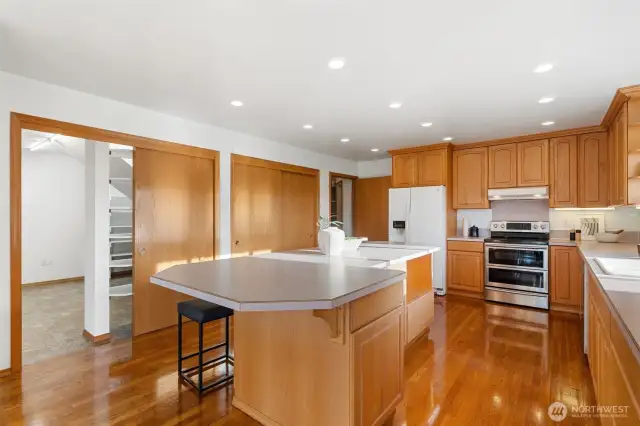Huge Pantry!