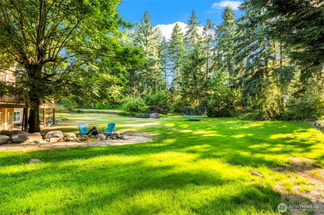 more backyard