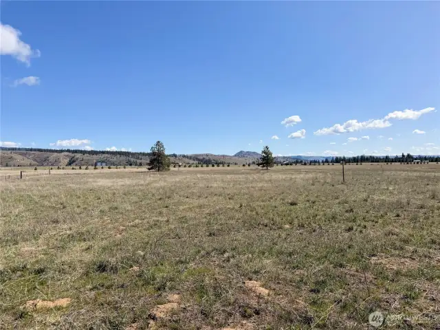 More views of the property looking east.