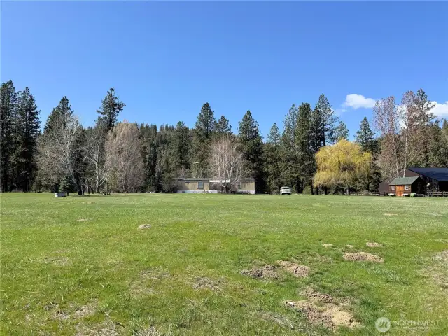 Looking west towards the home.