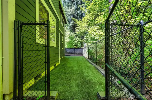 lLarge dog run is so great for pets.