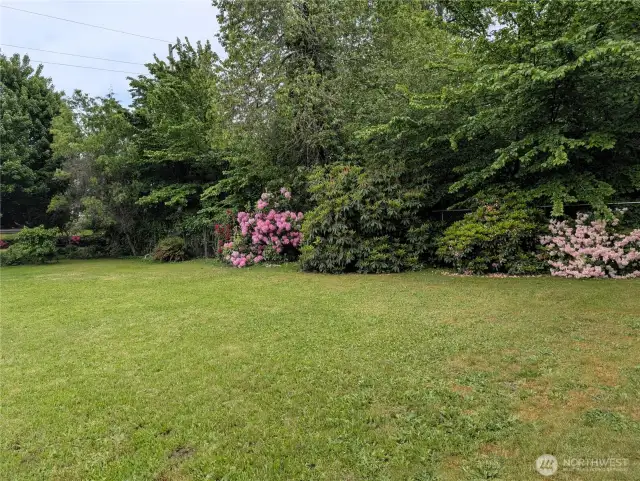 Large lot for Development, RV  parking, additional shop space. You choose. #1003 Irving St.
