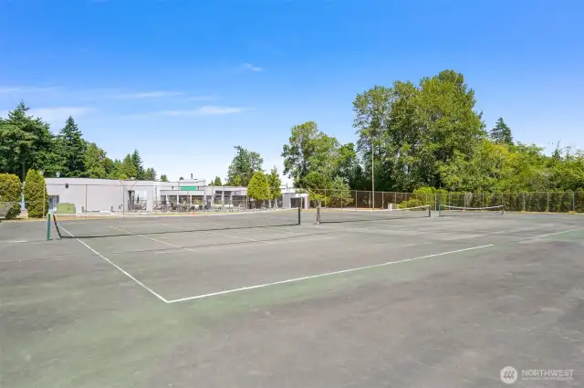 tennis courts with pickle ball lines as well