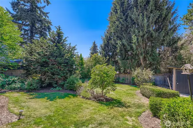 This back yard is special!  Mature plantings, garden beds, privacy, and gently sloping lawn. You don't find many lots like this in the City!