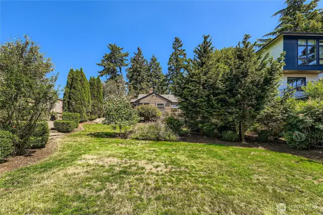 Expansive!  Let your imagination run wild with ideas for this yard!
