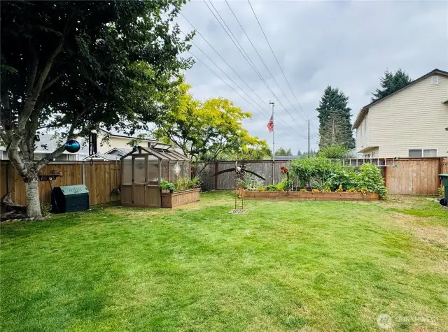 Huge well landscaped back yard
