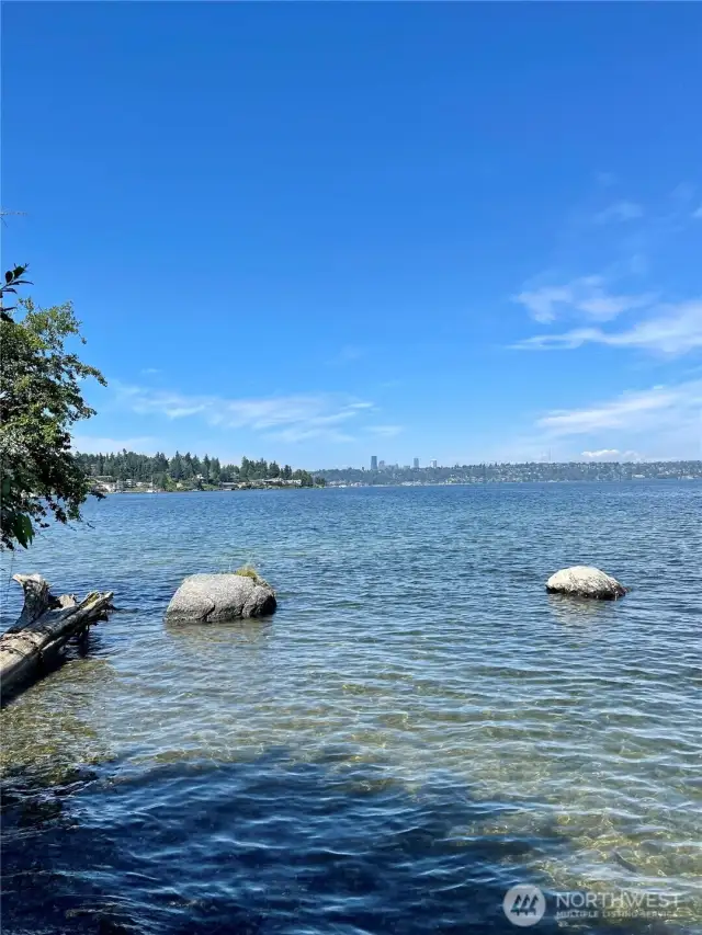 Nearby Beach on Lake Washington