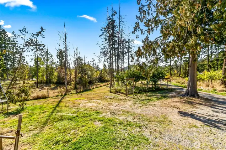 Beautiful large property