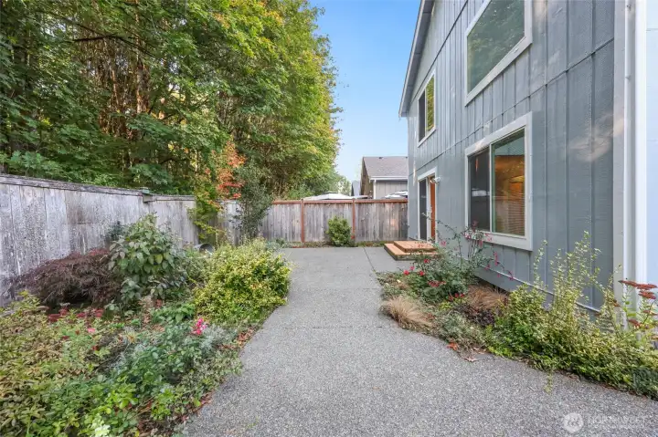 Another view of back yard ... no mowing!!!