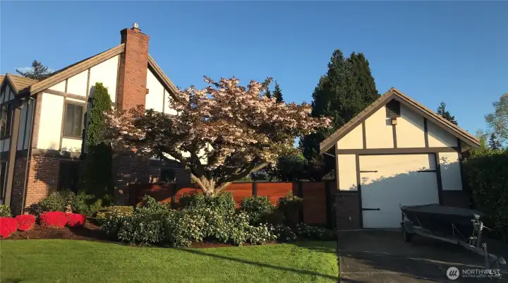 The yard comes awake in the Spring