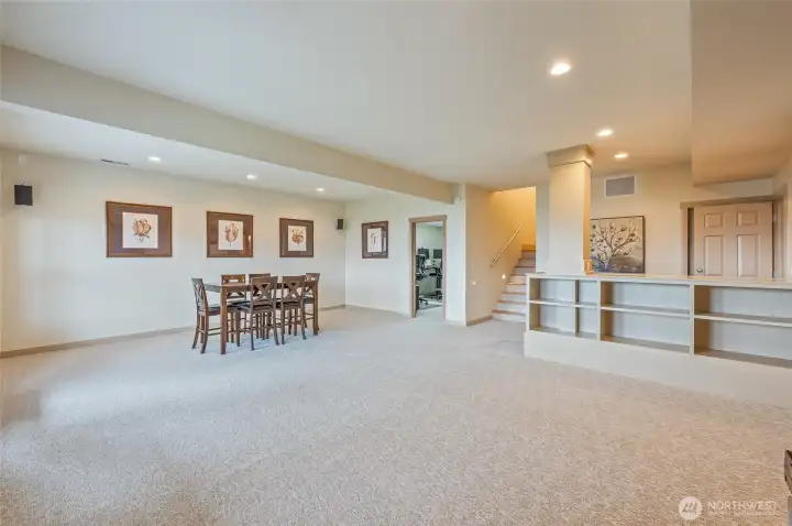 Downstairs Family Room