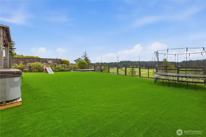 Huge Astroturf backyard
