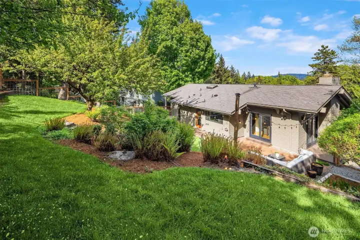 Upper terrace of backyard with natural lawn and mature garden beds