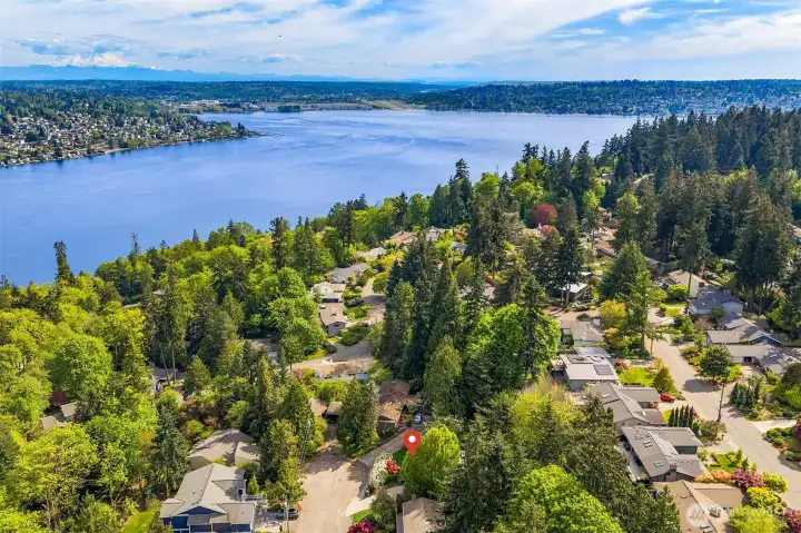 Ideally located on a quiet cul-de-sac in the delightful Tarywood neighborhood, close to Lakeridge elementary, Islander Middle School, South Mercer playfields, and the Mercer Island Country Club, with Pioneer Park and south-end dining and shopping just a stroll away.