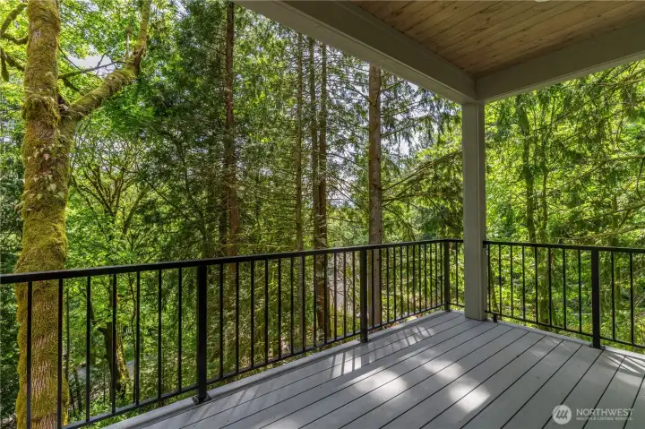 upper level deck for entertainment