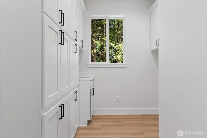 Lots of laundry storage
