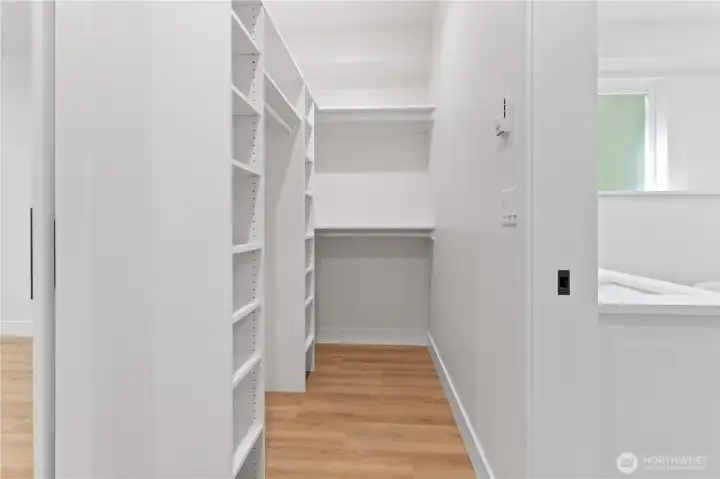 custom walk-in closet in master bedroom