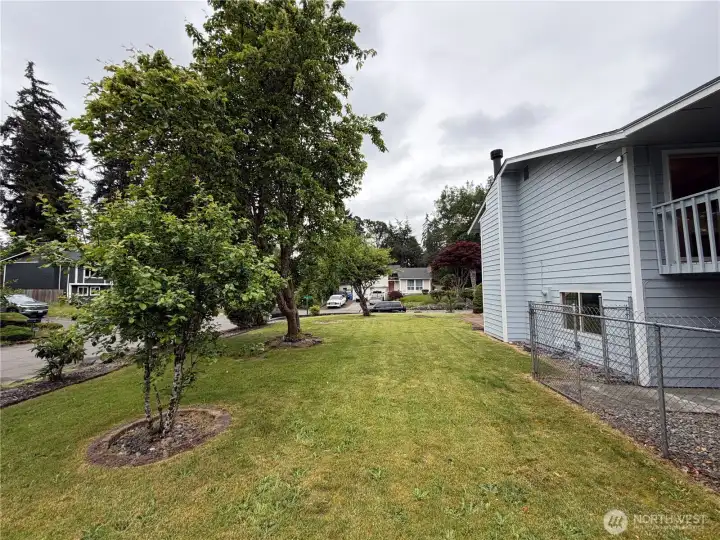 Large side yard