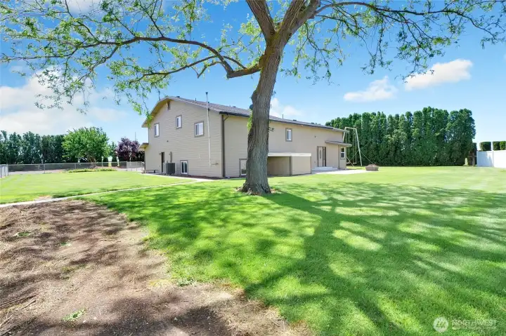 The lawn is oversized and beautiful!