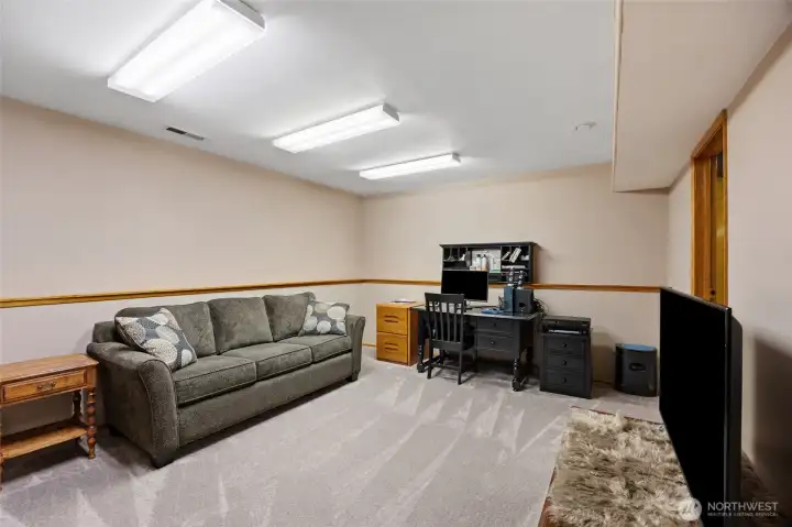 Lower Living Area