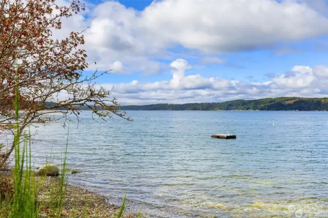 Oyster and clam-filled beach on Hood Canal for TECC member's use