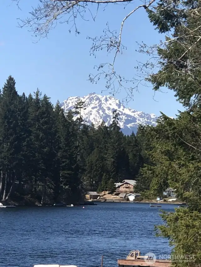 This is the view you will have from your dock and your home site.  These peaks are part of the Olympic Mountains.