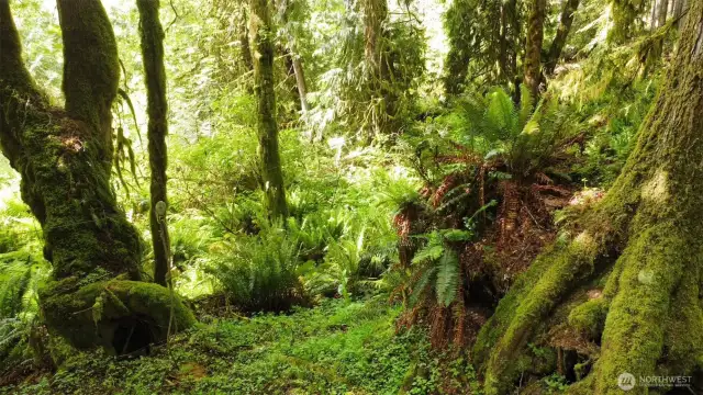 Magical places are easy to find