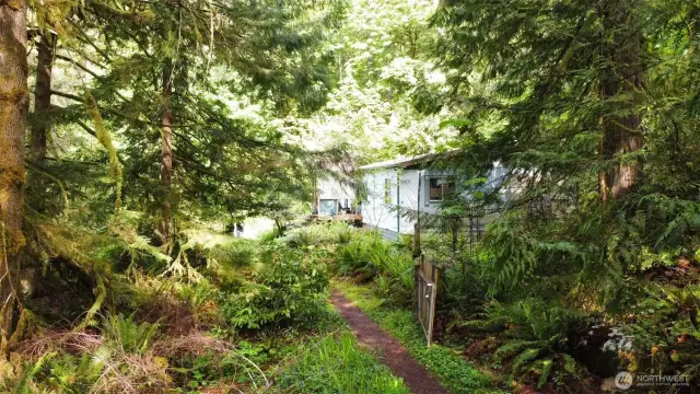 Private location in the woods