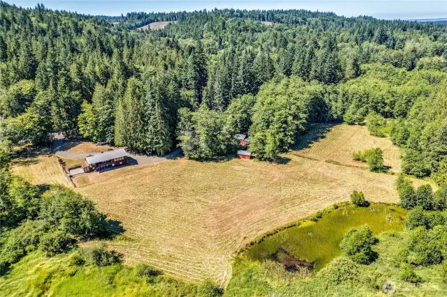 A little bit of everything with this property - pastoral land, shop, studio, out buildings, pond and multi-generational housing.
