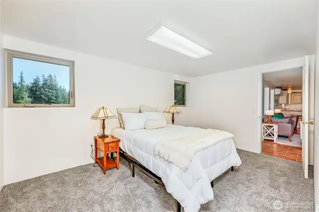 Bonus room downstairs staged as a bedroom - has two closets. Great space for an office or bonus room or rec room.