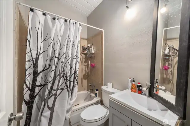 Guest bathroom.