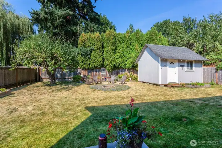 Backyard