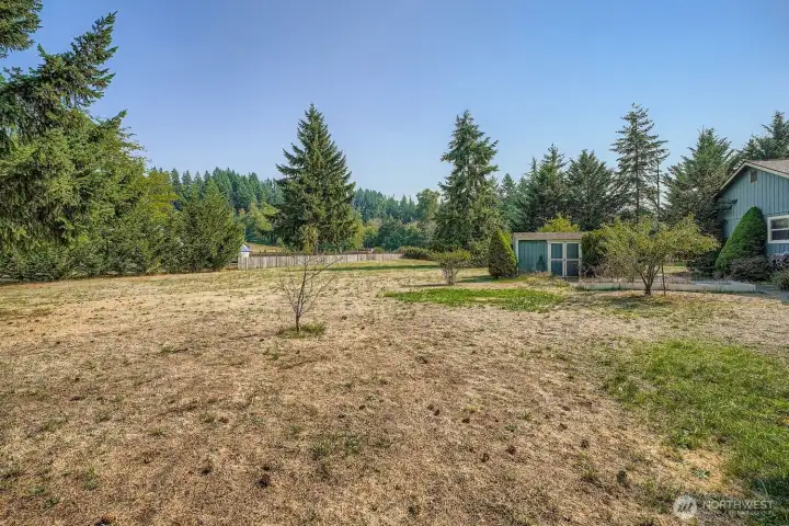 One side of the yard.