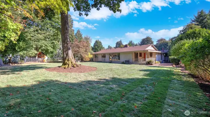 This generous backyard space ideal for summer barbecues and outdoor entertaining.