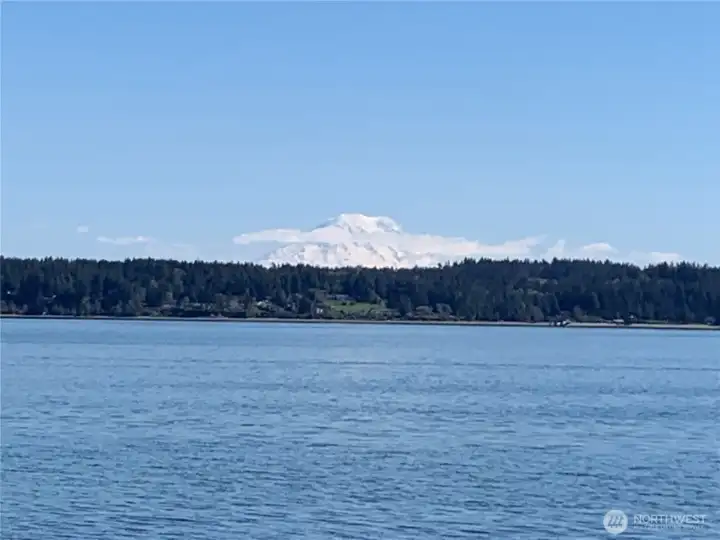 Mount Rainier views
