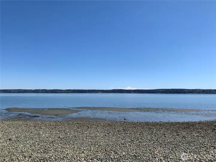 Beach walks
