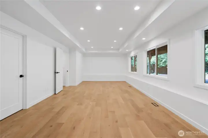 Basement Bonus Room
