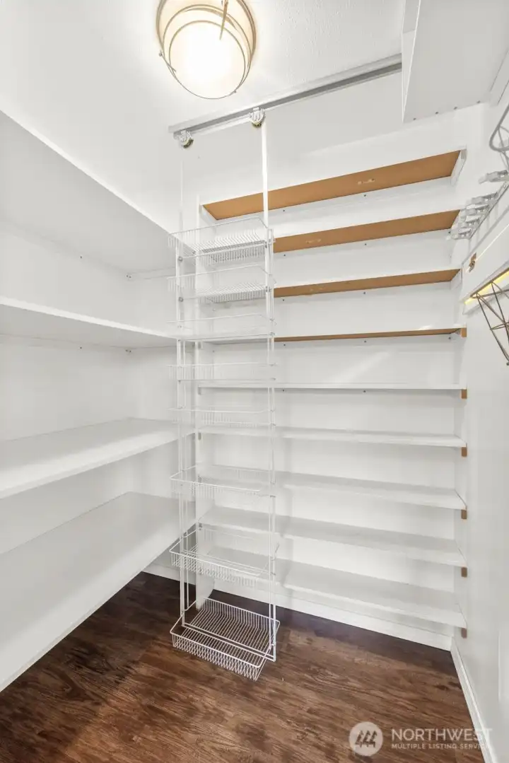 Great walk-in pantry with plenty of shelving and storage.
