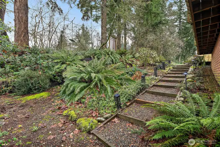Solar lit steps that go up along the outside of the deck, and to the front or the back of the home