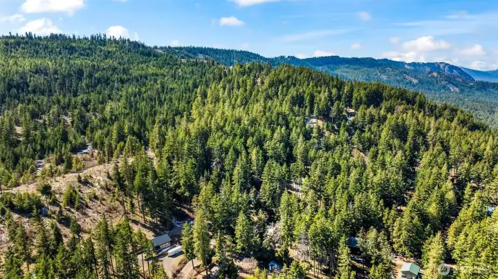 Aerial shot highlighting privacy, trees, and proximity to outdoor recreation.