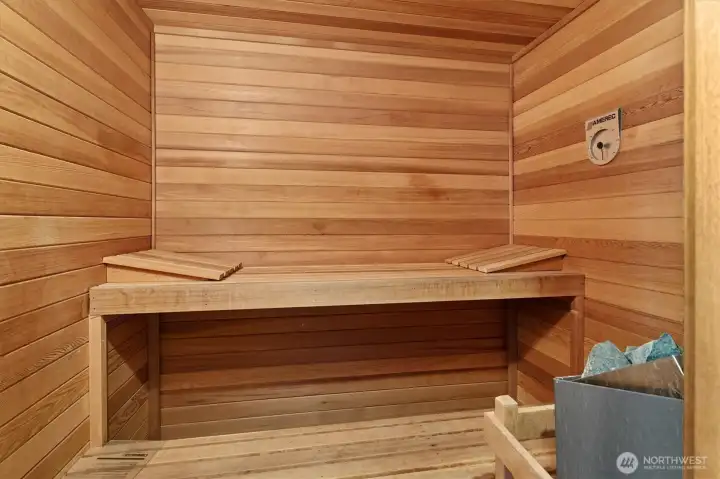 Primary ensuite sauna