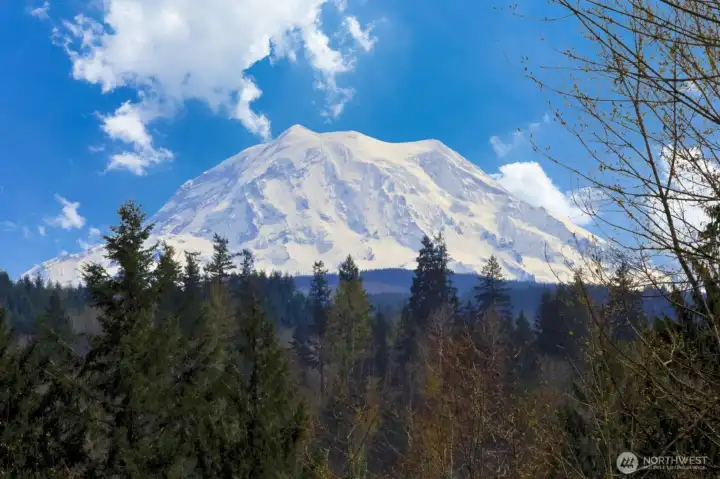 Mountain view from back patio.